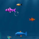 Fishy-Game-2